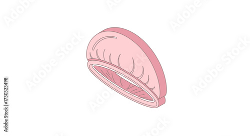 Isolated illustration of a pink shower cap on a white background