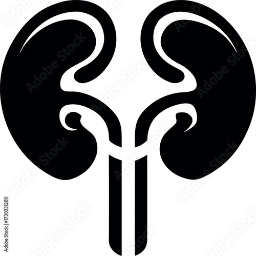 Kidney anatomy silhouette vector, Human organ icon isolated on white background