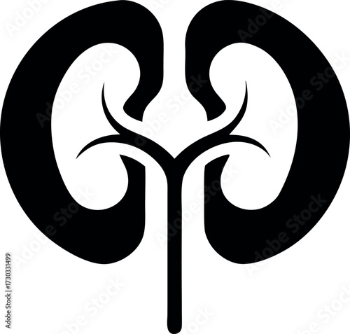 Kidney organ silhouette vector illustration isolated on white background