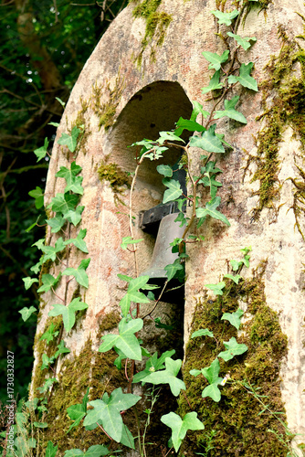 Old tower with a bell and some climbing plants growing on it