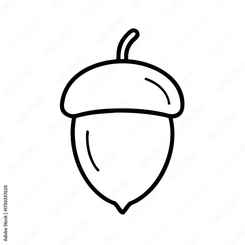 Fototapeta premium Simple outline of an acorn on white background 