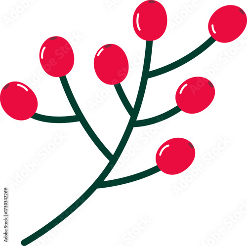 Bright red winter berry branch isolated on white background. Vector