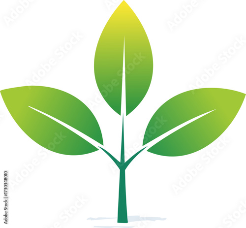 Green plant illustration with three fresh leaves symbolizing growth