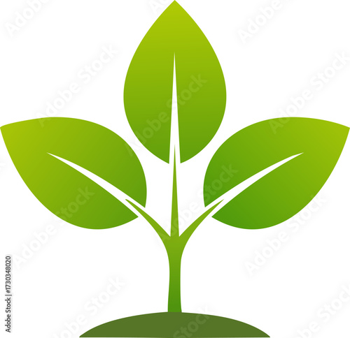 Plant with three leaves symbolizing growth, nature, freshness