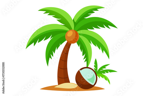 palm tree vector illustration