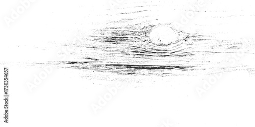 close-up view of rough black and white wood grain texture with horizontal lines and knot.  White natural wood wall texture and background. Detailed macro view of felled tree trunk or stump.