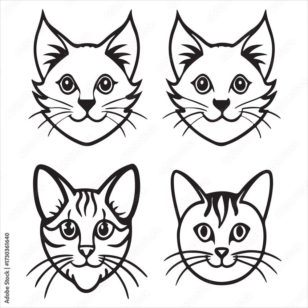 Fototapeta premium A Unique and Tailless Manx Cat, an Anura Breed from the Isle of Man with a Rabbit Like Gait and Short Back Body, an Affectionate Companion