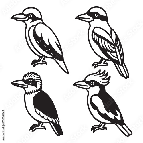An Iconic Australian Kookaburra Kingfisher, a Dacelonovaeguineae Laughing Bird Known for its Carnivorous Diet and Territorial Call of Hilarity