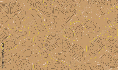 Topographic map background. Generating a terrain elevation map. Luxury line art background vector. Topographical line map. 