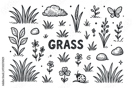 Hand-drawn grass elements with flowers and insects in nature illustration