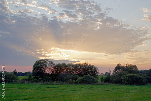 Sunset in the evening far beyond the city. Trees and bright sky. Green grass.