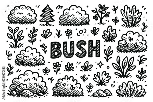 Hand-drawn black and white bush illustrations with various plant designs