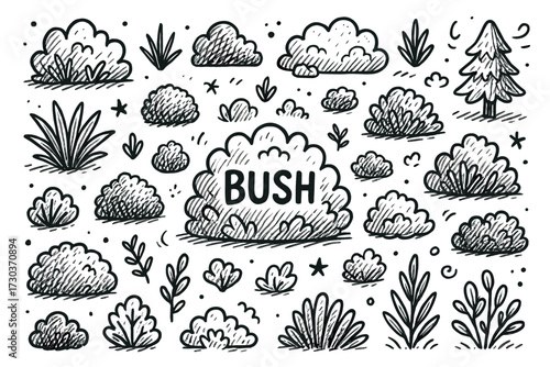 Hand-drawn nature doodle compilation: bushes, trees, and plants in black and white sketch style