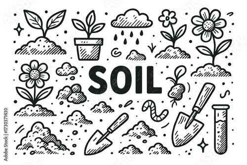 Garden soil illustration with plants, flowers, and gardening tools