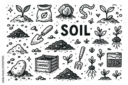 Garden soil illustration with plants, flowers, and gardening tools