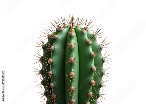 Green Cactus Against Black Background