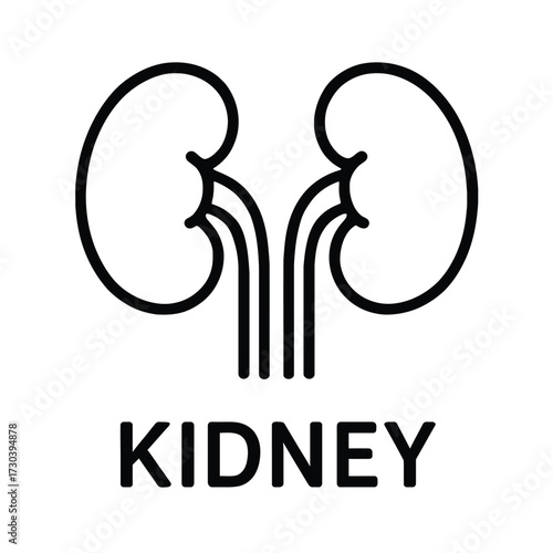 Stylized black and white icon of two kidneys with text label.
