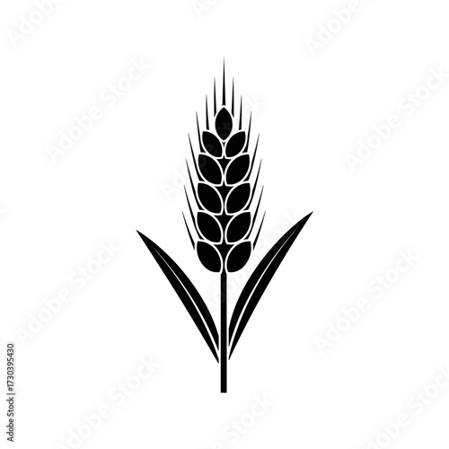 A detailed look at the nutritional benefits and culinary uses of wheat grain and its products.