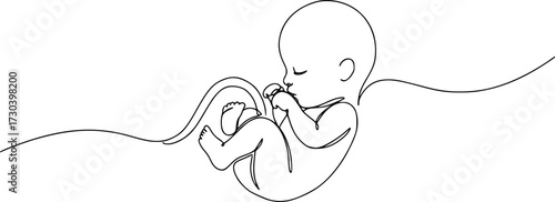 Baby embryo in womb, fetus one art line continuous drawing, Continuous line of fetus in womb.one line drawing of baby fetus in mother's stomach in gestational age