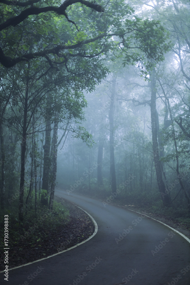 Obraz premium Curving road disappears into mysterious, foggy forest, evoking tranquil journey