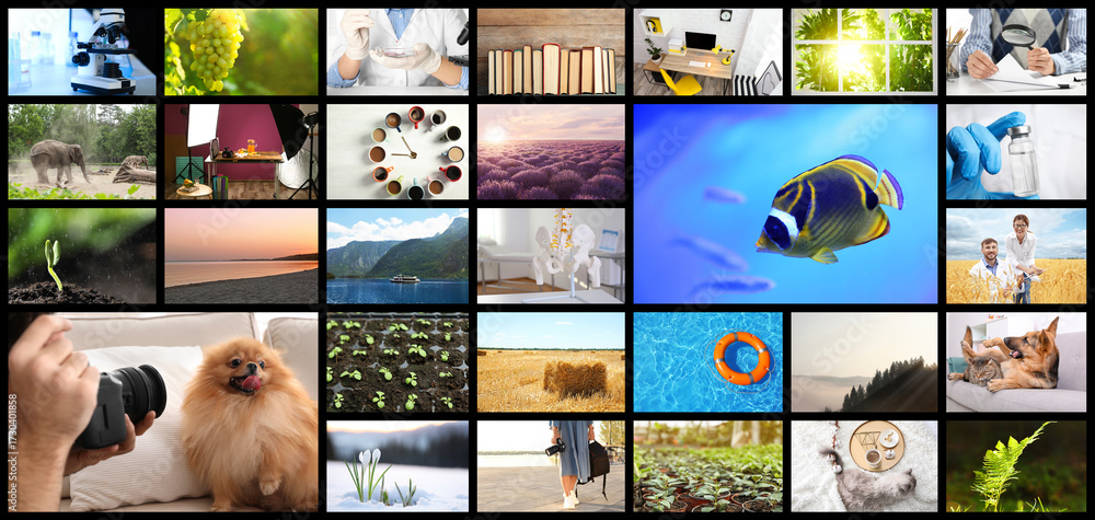 Obraz premium Set of different pictures combined into collage. Banner design