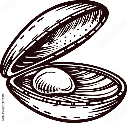 Hand drawn pearl in open clam shell vintage engraved sketch illustration isolated on white background