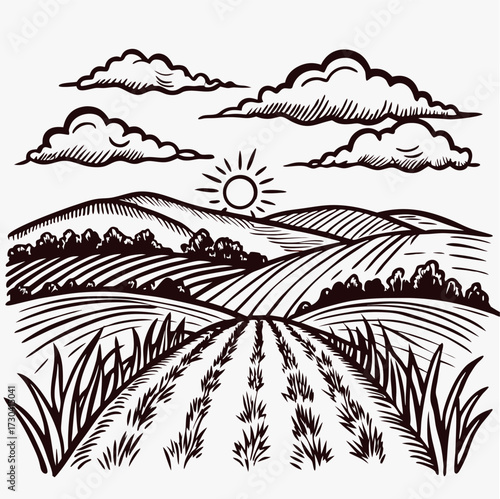Hand drawn rural landscape with sun, hills, fields, and clouds in vintage engraving