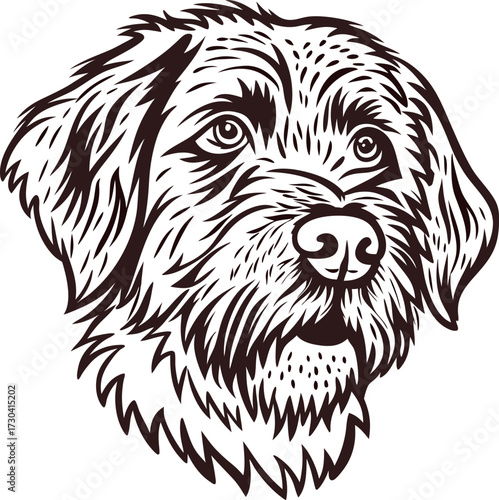 Detailed hand drawn shaggy dog portrait isolated on white background, vintage engraved illustration