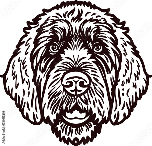 Detailed hand drawn labradoodle dog face with expressive eyes and fluffy fur, black line illustration on white