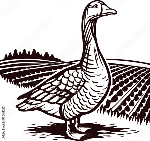 Engraved illustration of a standing goose on rural farmland landscape with fields in background