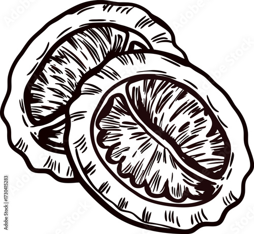 Hand drawn lemon slices illustration in vintage engraving isolated on white background
