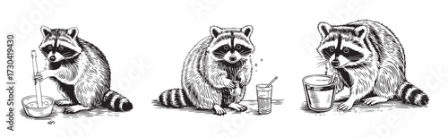 Cute Raccoon Illustrations Cooking and Drinking in Black and White Vintage Style – Hand-Drawn Animal Clipart for Kitchen, Cafe, Beverage, and Nature Themes – Retro Etching Wildlife Vector Set