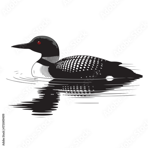 Common Loon Bird Vector Illustration with Reflection on Water, North American Wildlife Waterfowl Design, Black and White Lake Bird Art for Nature, Ornithology, Camping, and Outdoor Adventure Themes