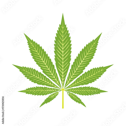 Isolated green cannabis leaf illustration on a white background for medical or recreational uses