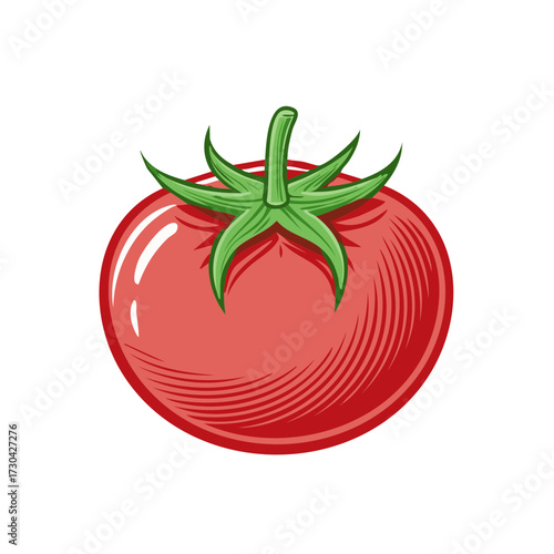 Stylized Red Ripe Tomato Illustration with Green Stem and Leaves Fresh Vegetable Graphic