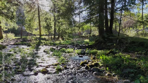 A mountain river or stream of cool, clear, pure water flows among rocks and mountains in the mountains among grassy meadows and trees.