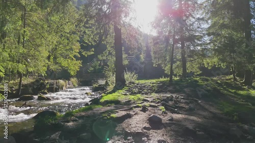 A mountain river or stream of cool, clear, pure water flows among rocks and mountains in the mountains among grassy meadows and trees.