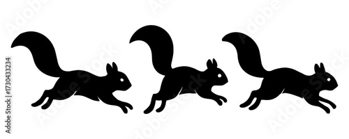 Three squirrels running in a line. The image is black and white. The squirrels are running in different directions. Vector silhouette.