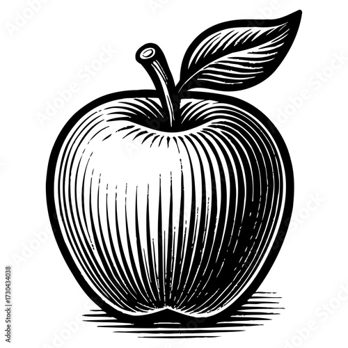 A black and white drawing of an apple with a leaf on top. The apple is the main focus of the image. Vector. Silhouette illustration.