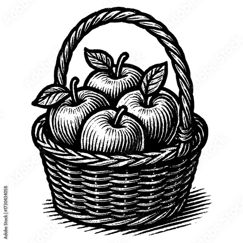 A basket of apples is shown in black and white. The basket is filled with apples. Concept of abundance and freshness. Vector. Silhouette illustration.