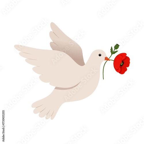 White Dove Flying with Red Poppy Flower.