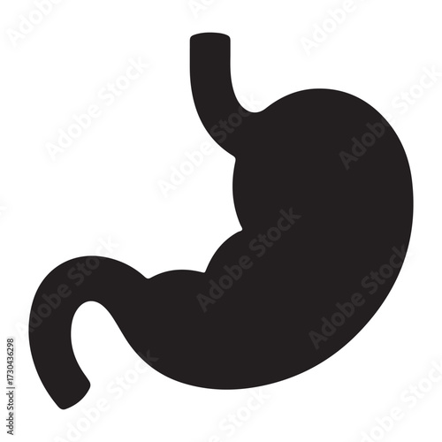 Human gut and stomach anatomy silhouette isolated on white background