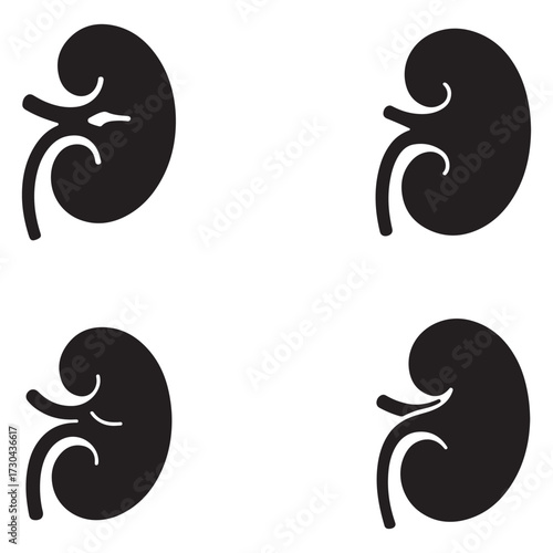Collection of kidney silhouettes in various medical styles isolated on white background