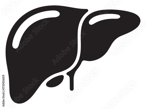 Anatomical silhouette of a human liver isolated on white background