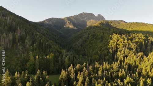 An aerial drone view of the Tatra Mountains, densely covered with green trees on a clear early summer morning.