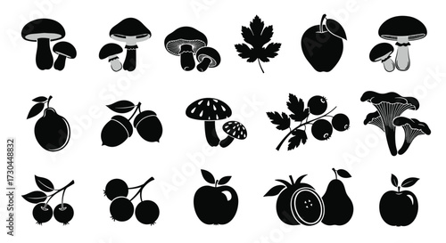 A collection of various edible fungi fruits and berries in a silhouette style.