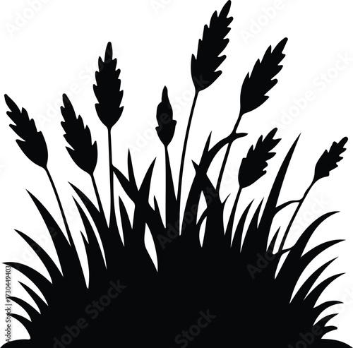 Grass,Wild grass on the river bank.Green grass silhouette;Prairie grass silhouette grass