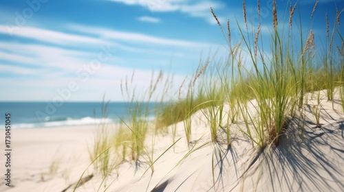 Wallpaper Mural detailed sand dunes, lush green grass, clear blue sky, serene beach landscape, peaceful tranquil atmosphere, sun-drenched environment, beautiful coastal scenery, natural beach setting, scenic coastal  Torontodigital.ca