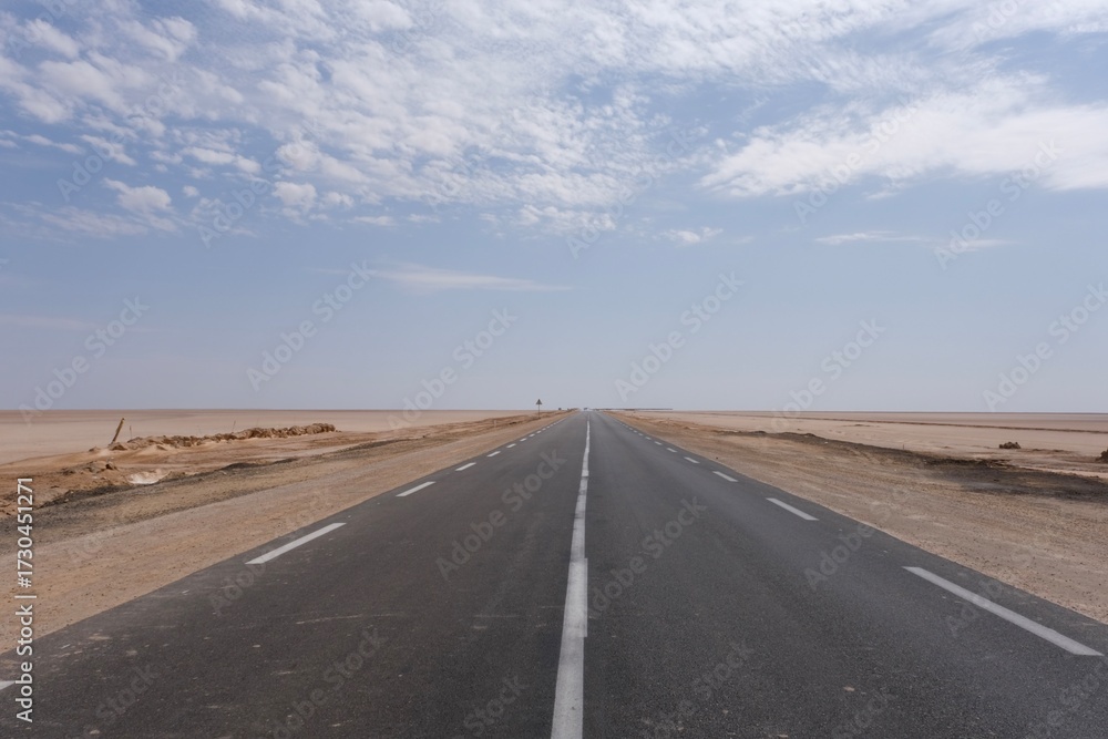 Naklejka premium Endless Road Through Desert Landscape, Tunisia