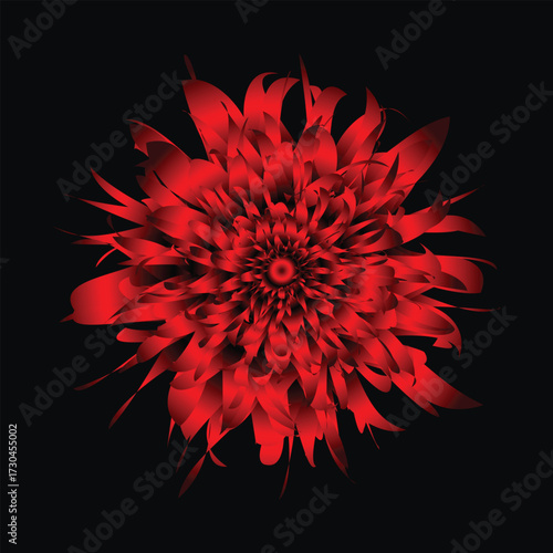  Beautiful and colorful 3d flowers with black background. vector illustration. . Floral decorative element. Vector floral background.
